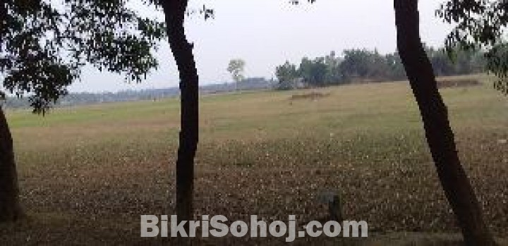 ৫ কাঠার প্লট বিক্রিয় হবে